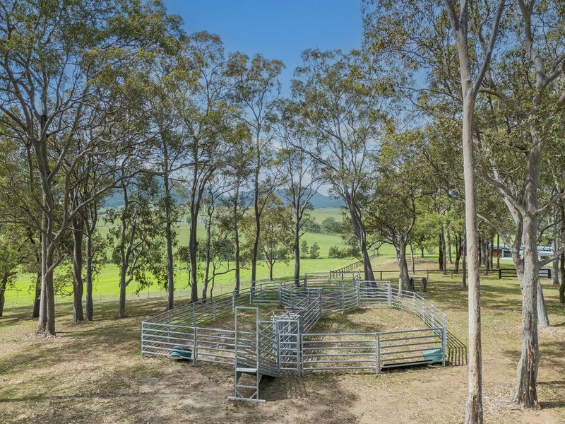 Photo - 218 Cranky Corner Road, Stanhope NSW 2335 - Image 30