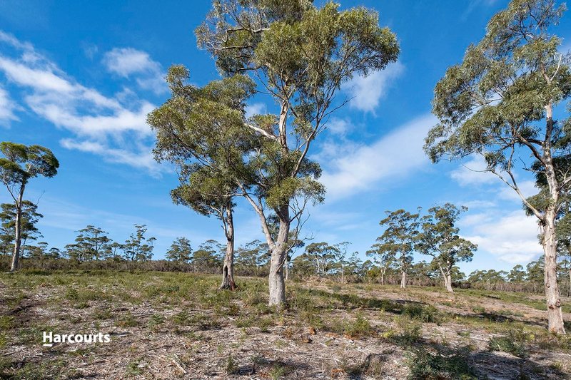 Photo - 218 Hastings Caves Road, Hastings TAS 7109 - Image 14