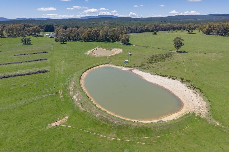 Photo - 218 Hurdle Flat Road, Beechworth VIC 3747 - Image 23