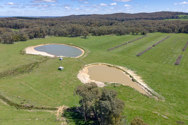 Photo - 218 Hurdle Flat Road, Beechworth VIC 3747 - Image 24