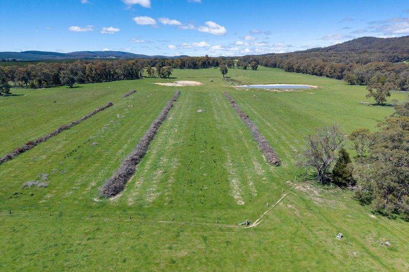 Photo - 218 Hurdle Flat Road, Beechworth VIC 3747 - Image 26