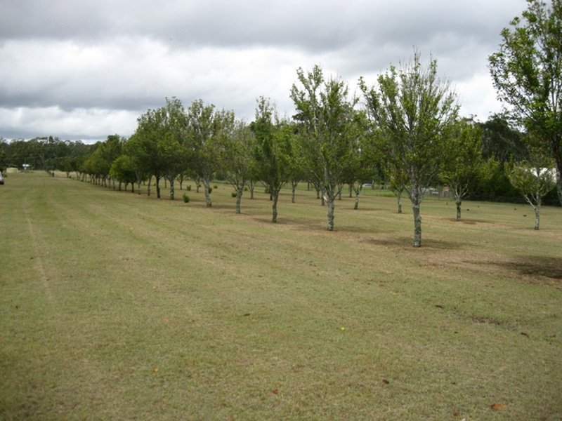 Photo - 218 Martin Crescent, Benarkin QLD 4306 - Image 5