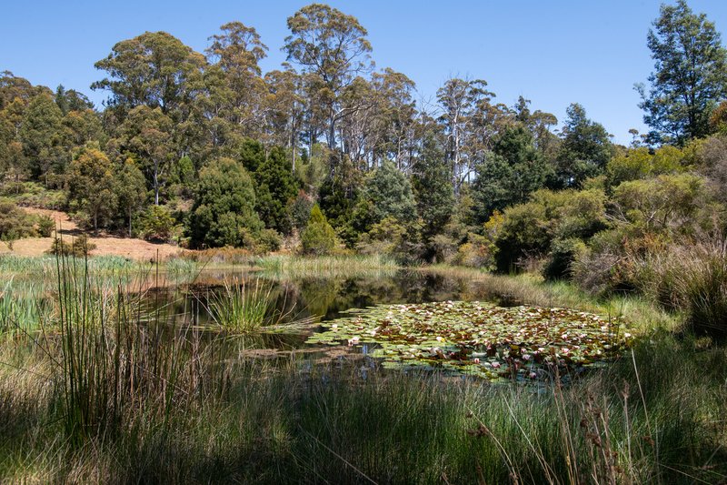 Photo - 218 Underwood Road, Underwood TAS 7268 - Image 24