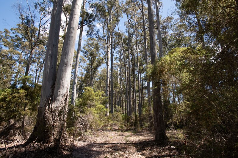 Photo - 218 Underwood Road, Underwood TAS 7268 - Image 28