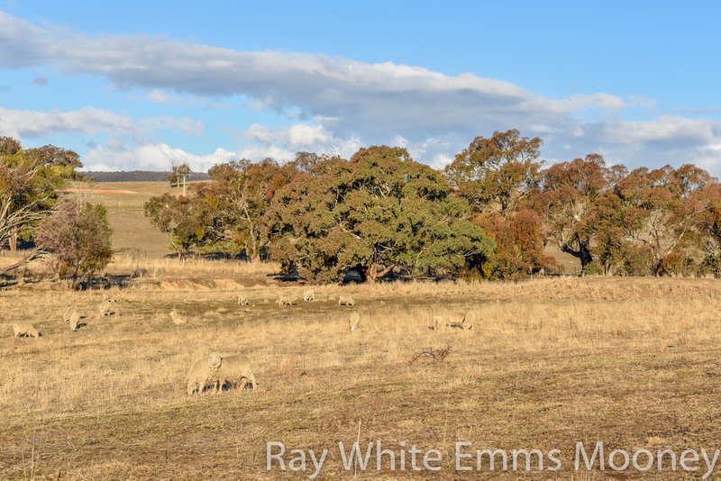 Photo - 2189 Limekilns Road, Bathurst NSW 2795 - Image 26