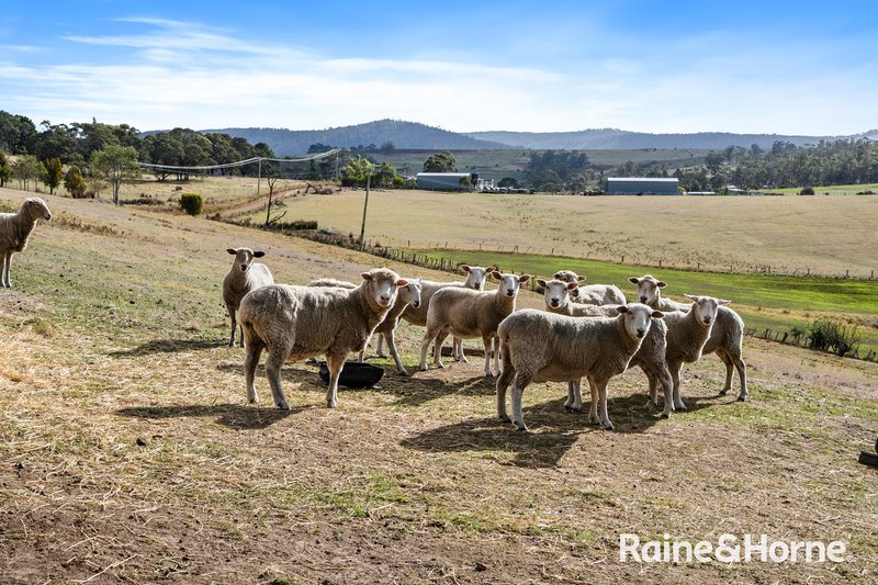 Photo - 219 Delmore Road, Forcett TAS 7173 - Image 30