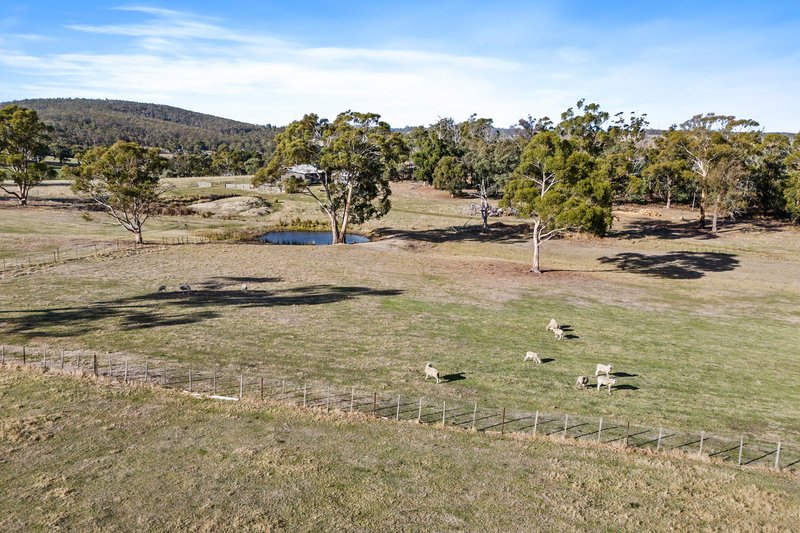 Photo - 219 Delmore Road, Forcett TAS 7173 - Image 32