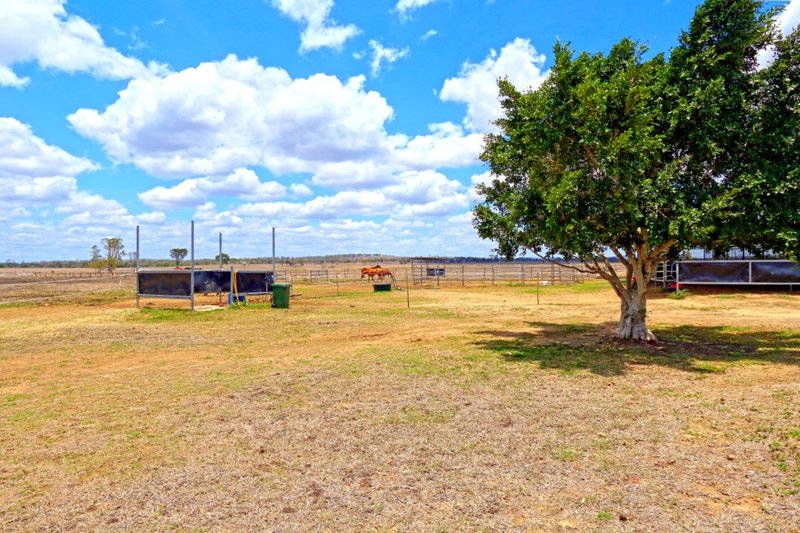 Photo - 2190 Ridgelands Road, Ridgelands QLD 4702 - Image 16