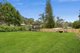 Photo - 22 Baranbali Avenue, Seaforth NSW 2092 - Image 11