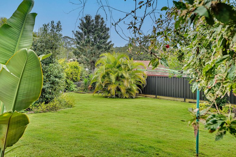 Photo - 22 Bennetts Road, Everton Hills QLD 4053 - Image 24