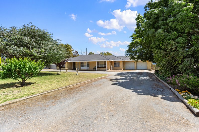 22 Bluff Road, Minlaton SA 5575