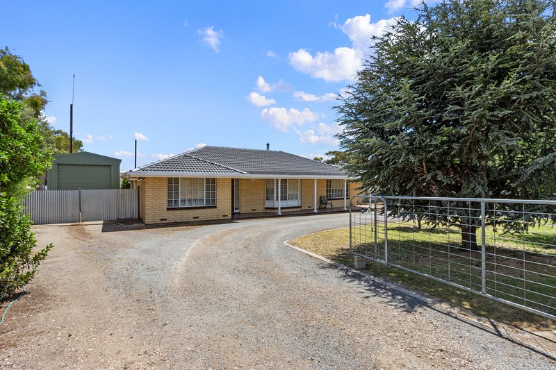 Photo - 22 Bluff Road, Minlaton SA 5575 - Image 25