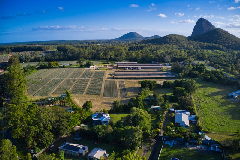 Photo - 22 Bowen Road, Glass House Mountains QLD 4518 - Image 2