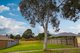 Photo - 22 Breese Road, Langwarrin VIC 3910 - Image 13