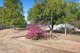 Photo - 22 Brooks Avenue, Willaston SA 5118 - Image 3