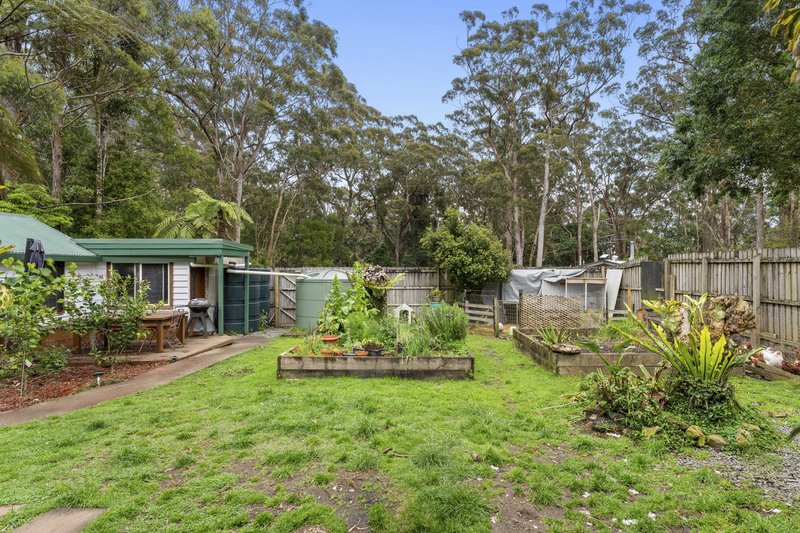 Photo - 22 Canyon Parade, Springbrook QLD 4213 - Image 22