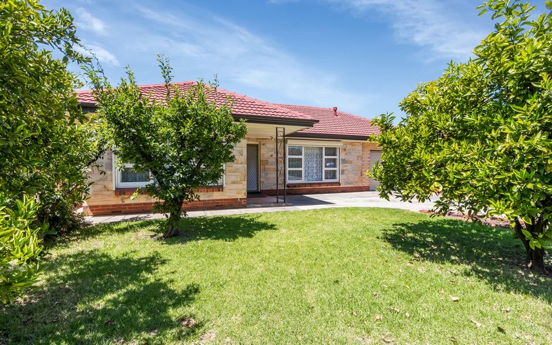 Photo - 22 Castres Street, Glynde SA 5070 - Image 2