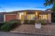 Photo - 22 Clopton Rise, Craigieburn VIC 3064 - Image 1