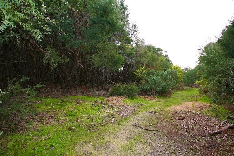 Photo - 22 Currawong Grove, Cannons Creek VIC 3977 - Image 3