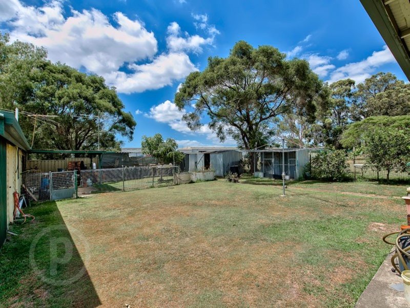 Photo - 22 Dartnell Street, Geebung QLD 4034 - Image 11