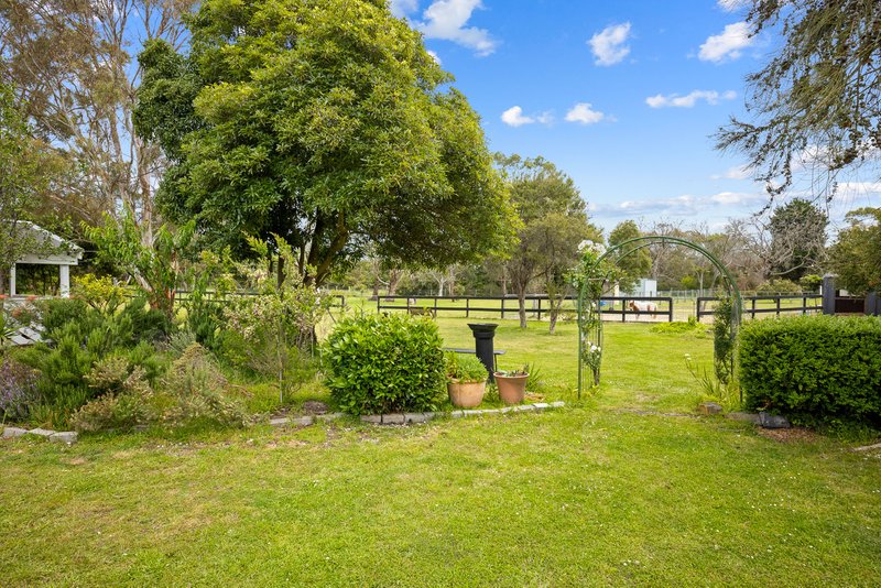 Photo - 22 Davies Street, Bittern VIC 3918 - Image 7