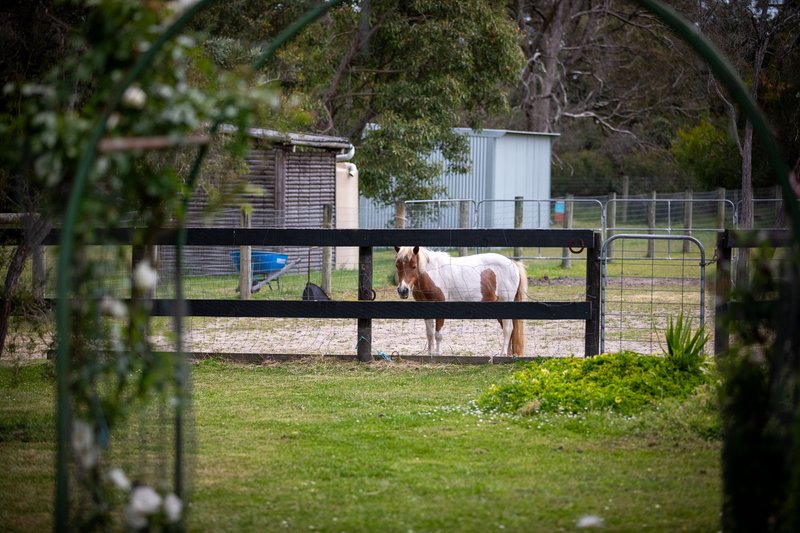 Photo - 22 Davies Street, Bittern VIC 3918 - Image 24