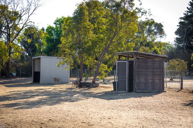 Photo - 22 Davies Street, Bittern VIC 3918 - Image 29