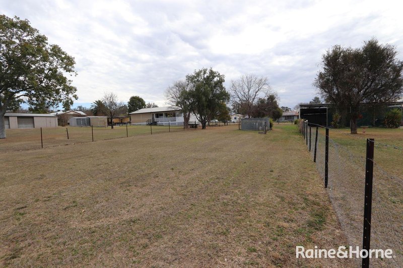 Photo - 22 Dudley Street, Ashford NSW 2361 - Image 16