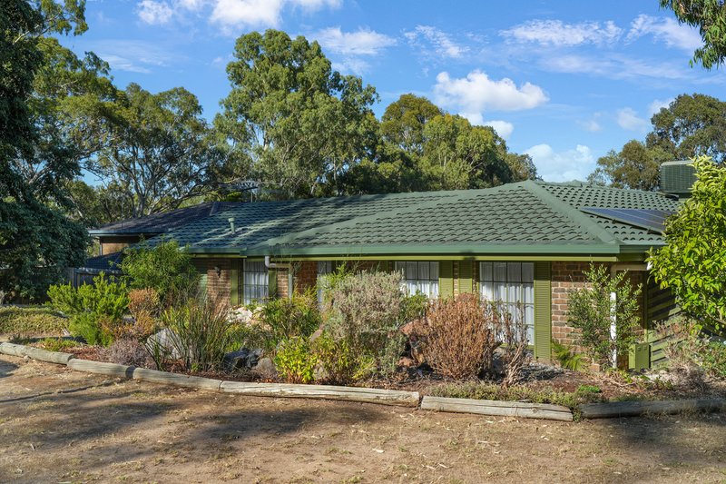 Photo - 22 Fernilee Avenue, Tea Tree Gully SA 5091 - Image 5