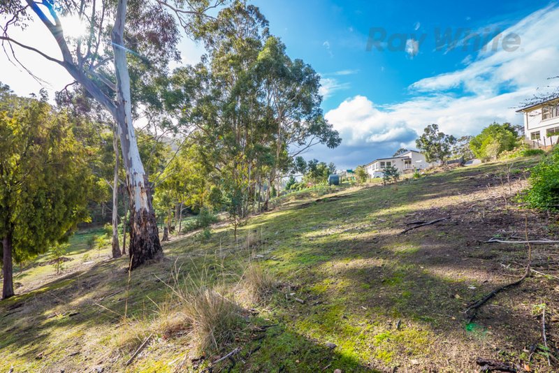 22 Glenlusk Road, Berriedale TAS 7011 Real Estate Industry Partners