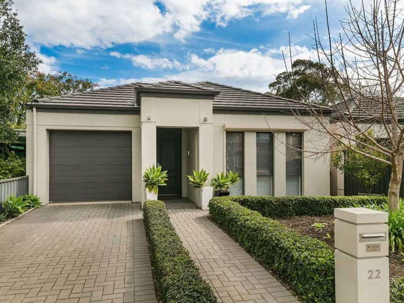 22 Hobart Avenue, Warradale SA 5046