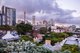 Photo - 2/2 Kings Lane, Darlinghurst NSW 2010 - Image 5
