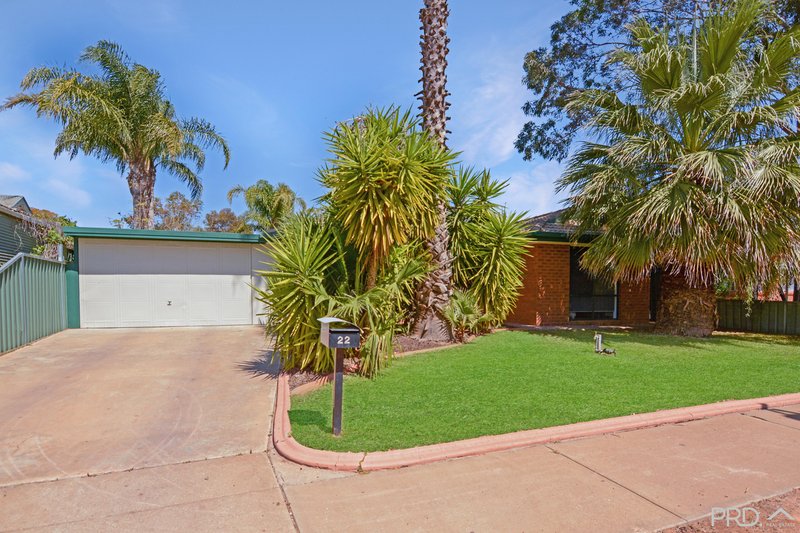 22 Lisa Court, Mildura VIC 3500