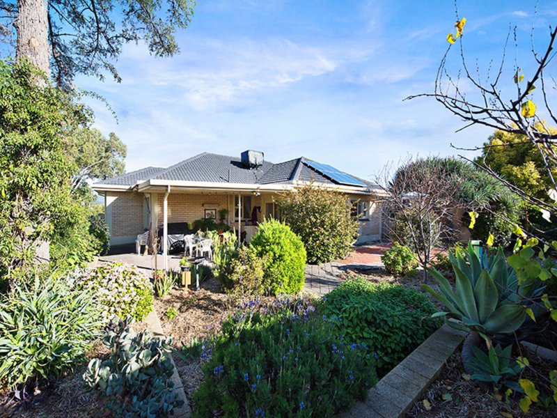 Photo - 22 Longview Road, Windsor Gardens SA 5087 - Image 14