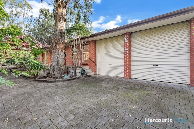 Photo - 22 Lorikeet Grove, Flagstaff Hill SA 5159 - Image 20
