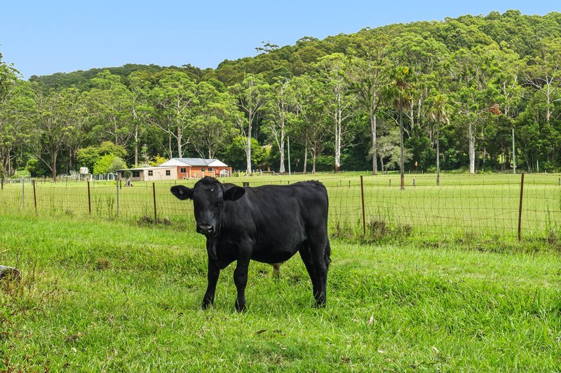Photo - 22 Manns Road, Fountaindale NSW 2258 - Image 6