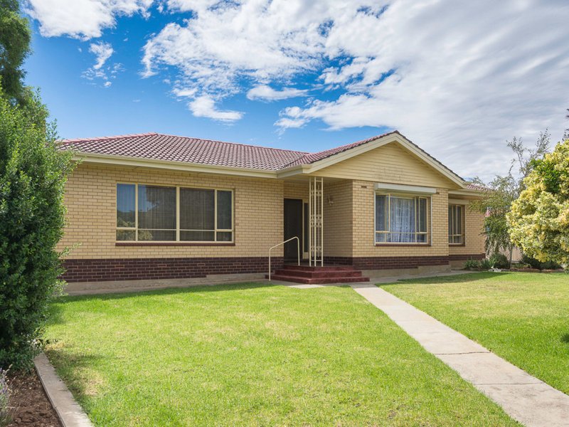 22 Marchant Road, Strathalbyn SA 5255