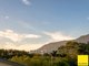Photo - 22 Marti Street, Bayview Heights QLD 4868 - Image 35