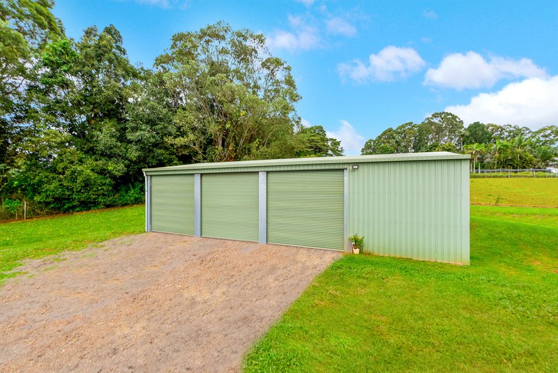 Photo - 22 Mathers Road, Malanda QLD 4885 - Image 15