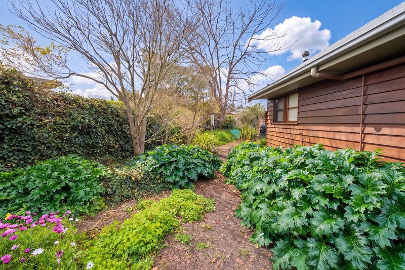 Photo - 22 Mintern Crescent, Horsham VIC 3400 - Image 23