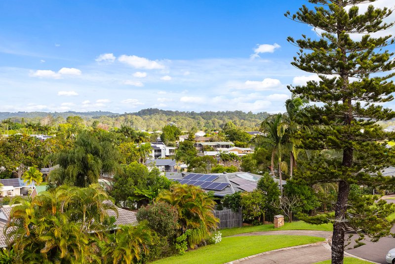 Photo - 22 Nicholas Court, Bli Bli QLD 4560 - Image 8