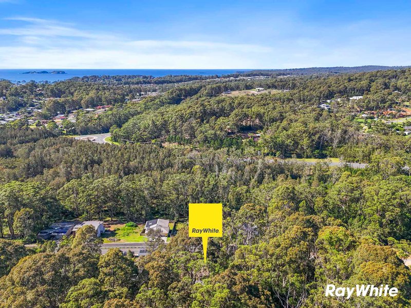 Photo - 22 Oakwood Way, Catalina NSW 2536 - Image 5