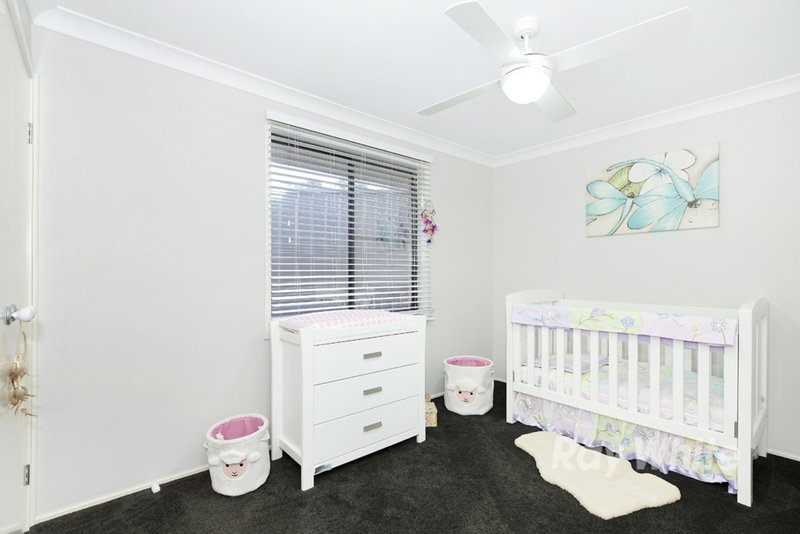 Photo - 22 Pheasant Street, Toronto NSW 2283 - Image 14