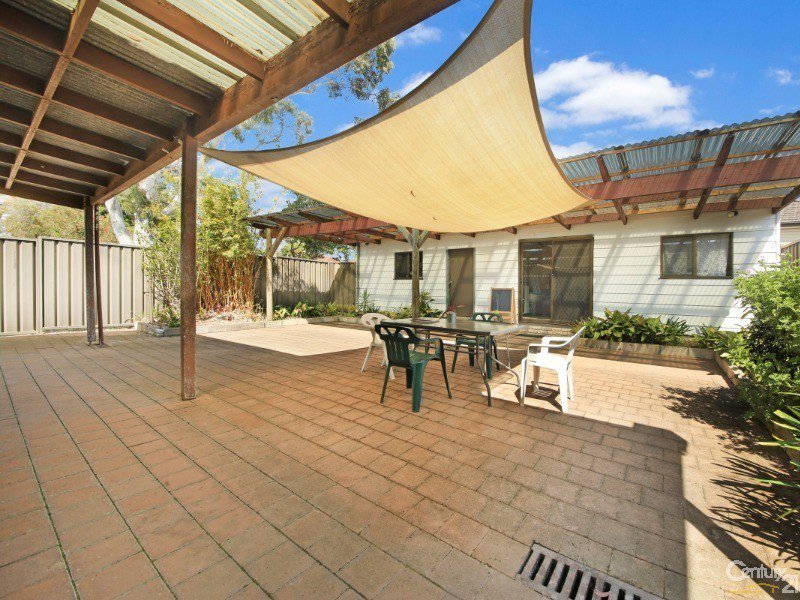 Photo - 22 Pyramid Avenue, Padstow NSW 2211 - Image 3