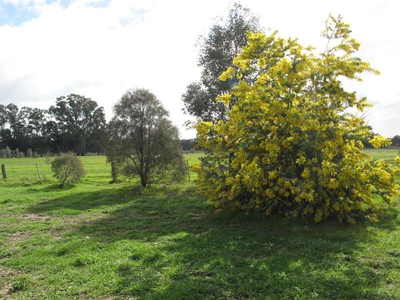 Photo - 22 Raglan Street, Dunolly VIC 3472 - Image 10