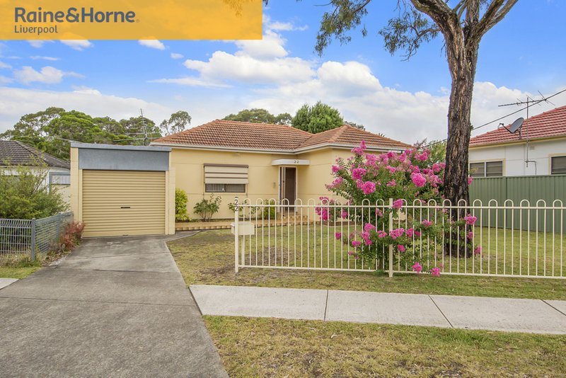 22 Ravenswood Street, Canley Vale NSW 2166