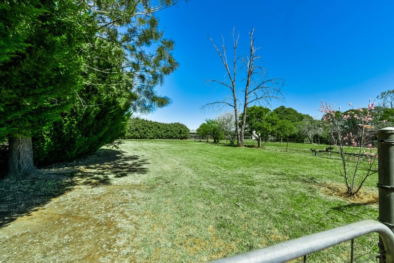 Photo - 22 Richardson Street, Thirlmere NSW 2572 - Image 16