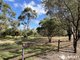 Photo - 22 Rosella Drive, South Kolan QLD 4670 - Image 3