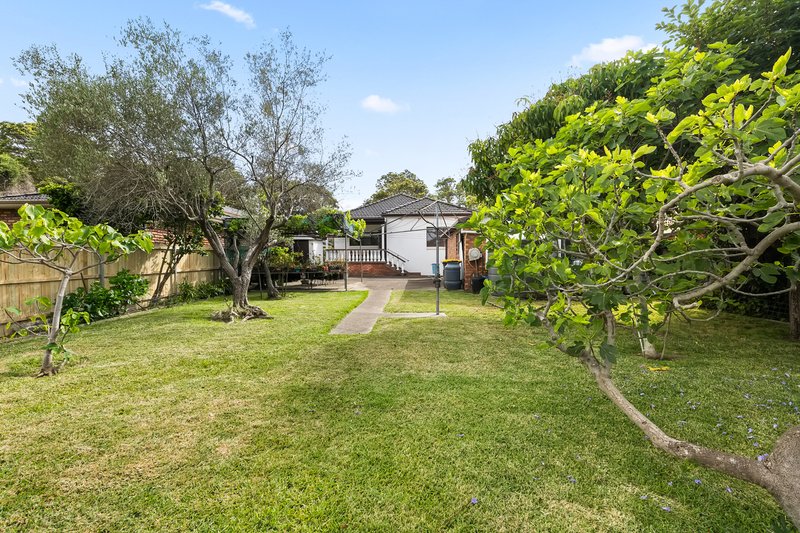 Photo - 22 Roslyn Street, Ashbury NSW 2193 - Image 6