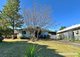 Photo - 22 Sampson Crescent, Bomaderry NSW 2541 - Image 1